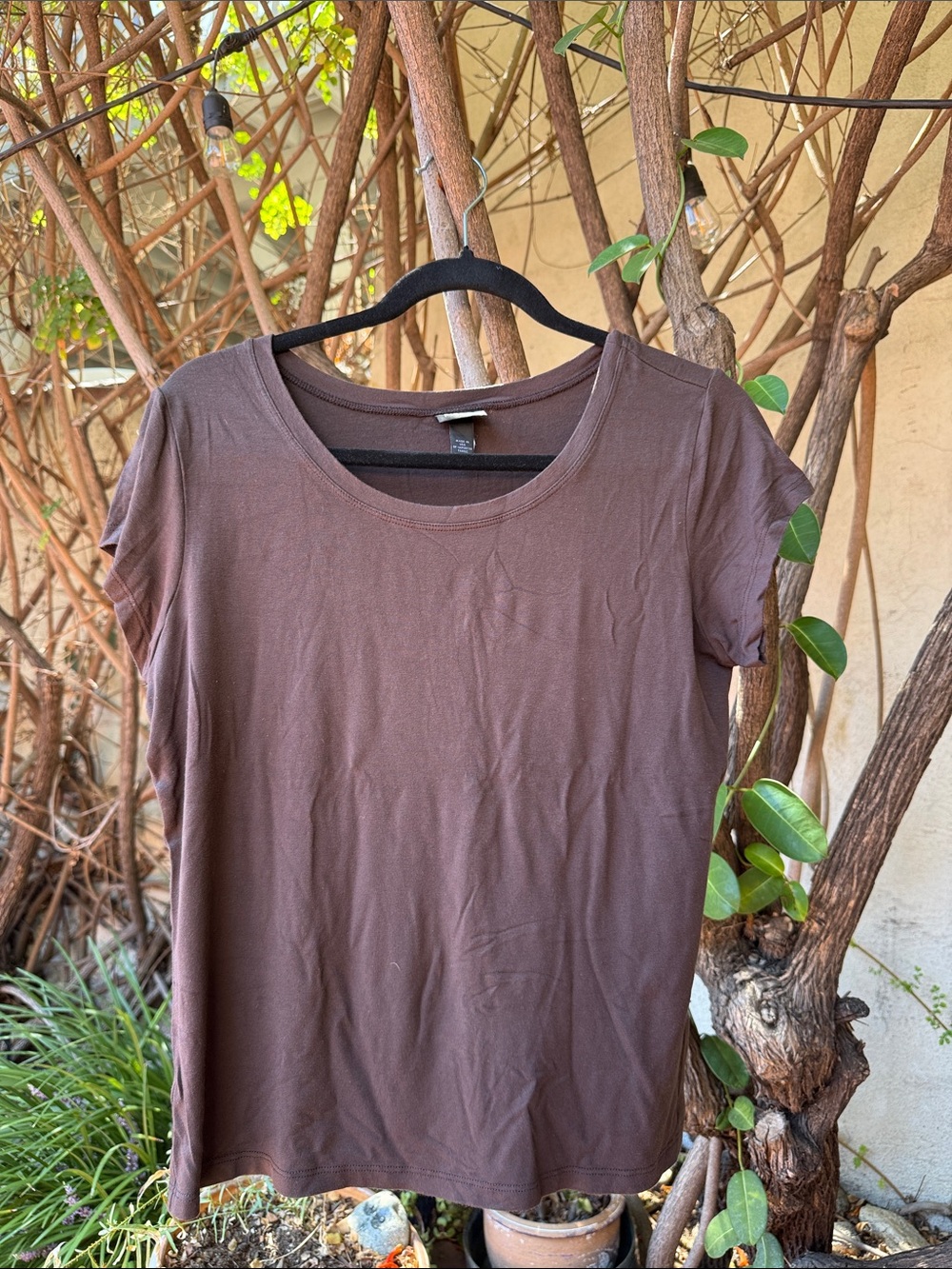 Eileen Fisher Chocolate Brown Short-Sleeve Crewneck Tee